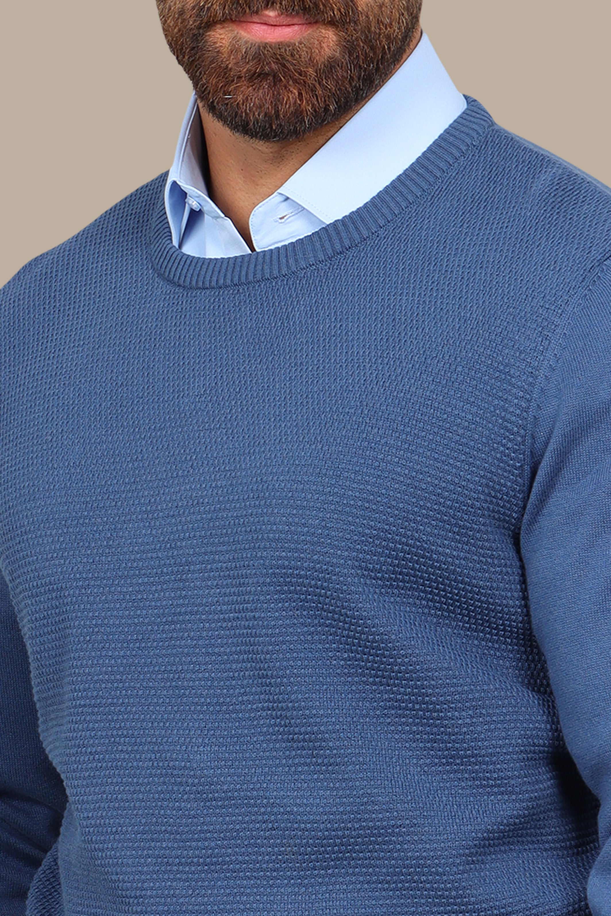 Blue Round Neck Sweater with Bee Print