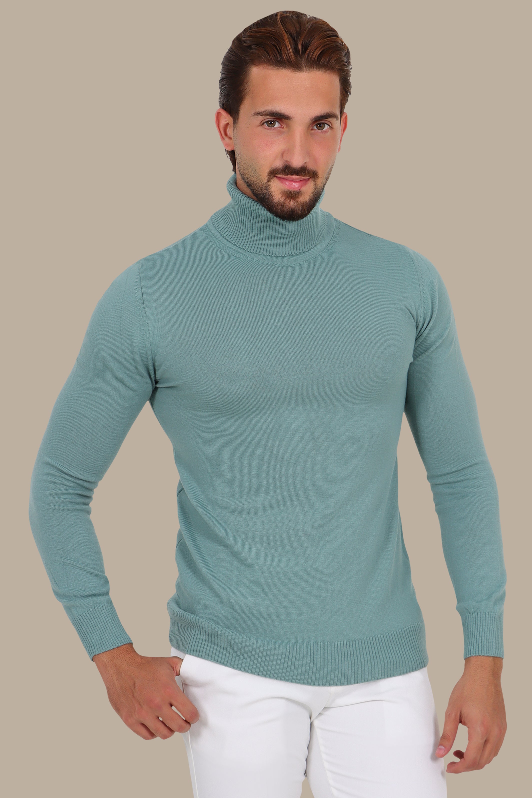 Turtle Neck Basic Sweater in Mint