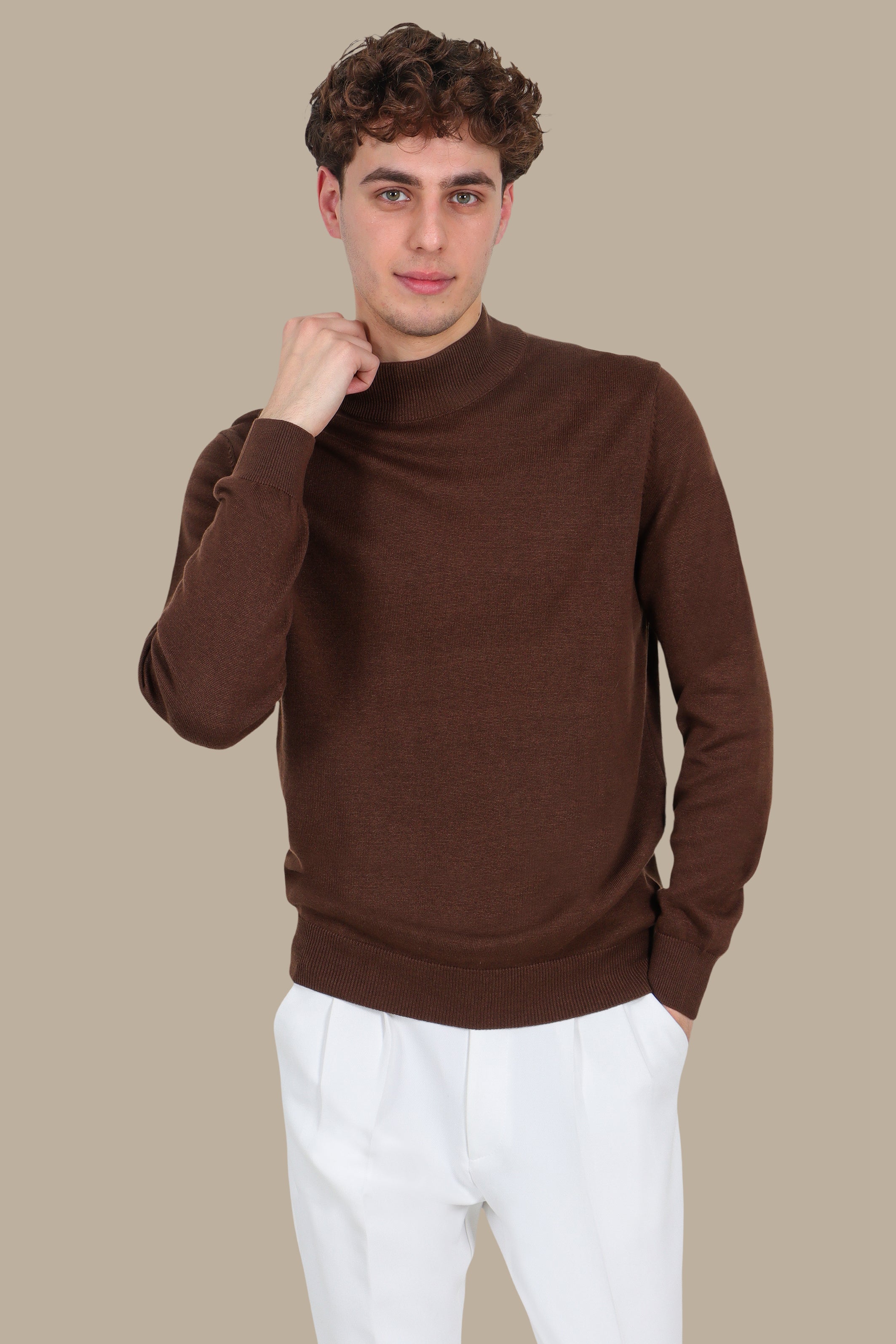 Brown High Neck Basic Sweater