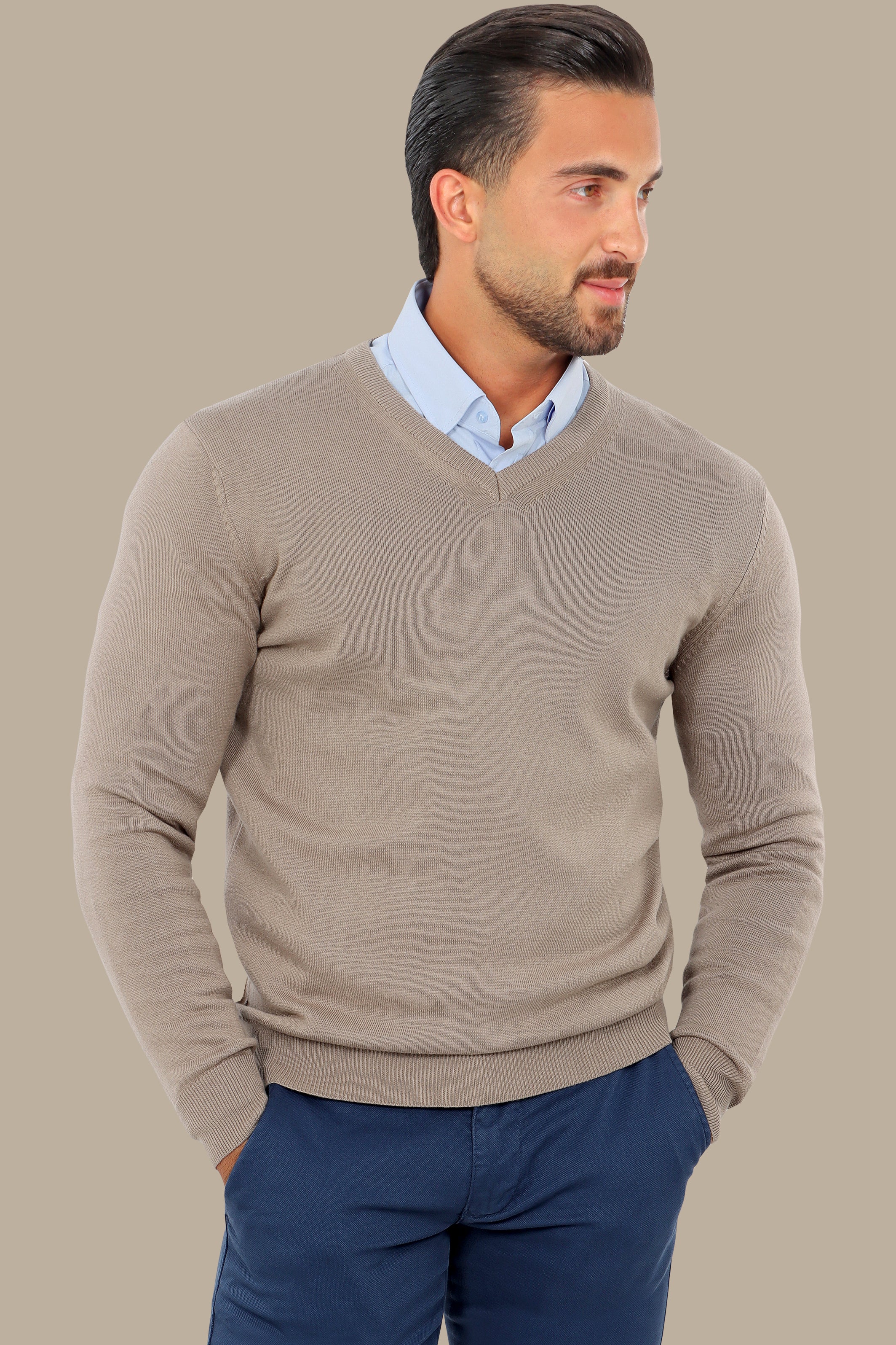 Camel V-Neck Basic Sweater