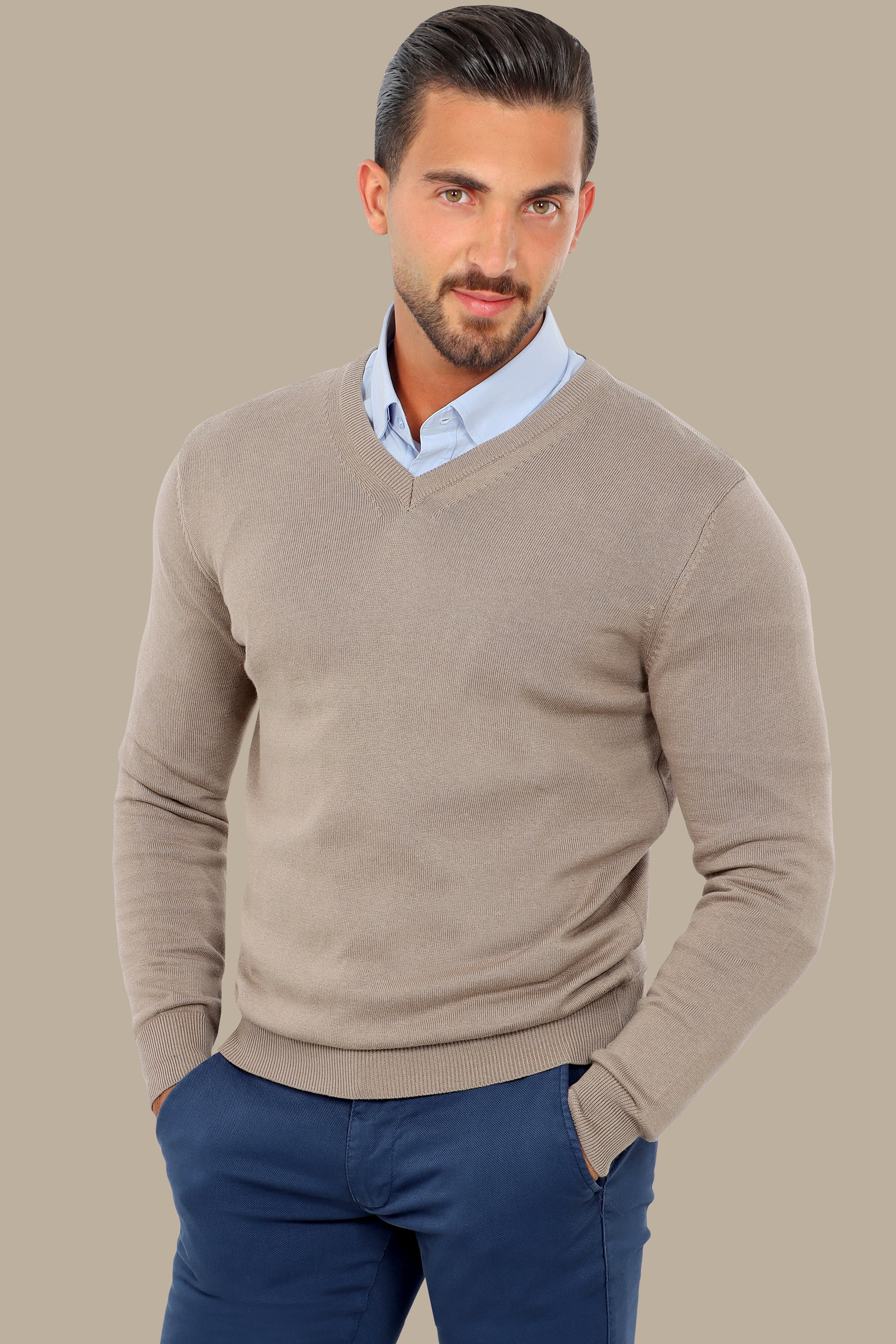 Camel V-Neck Basic Sweater