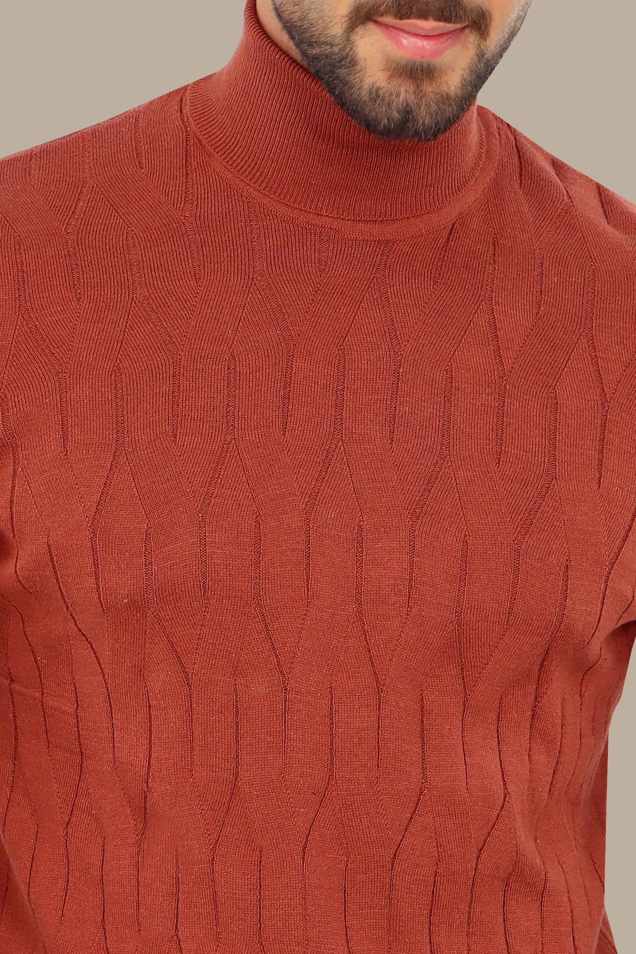 Brick Turtle Neck Braided Sweater