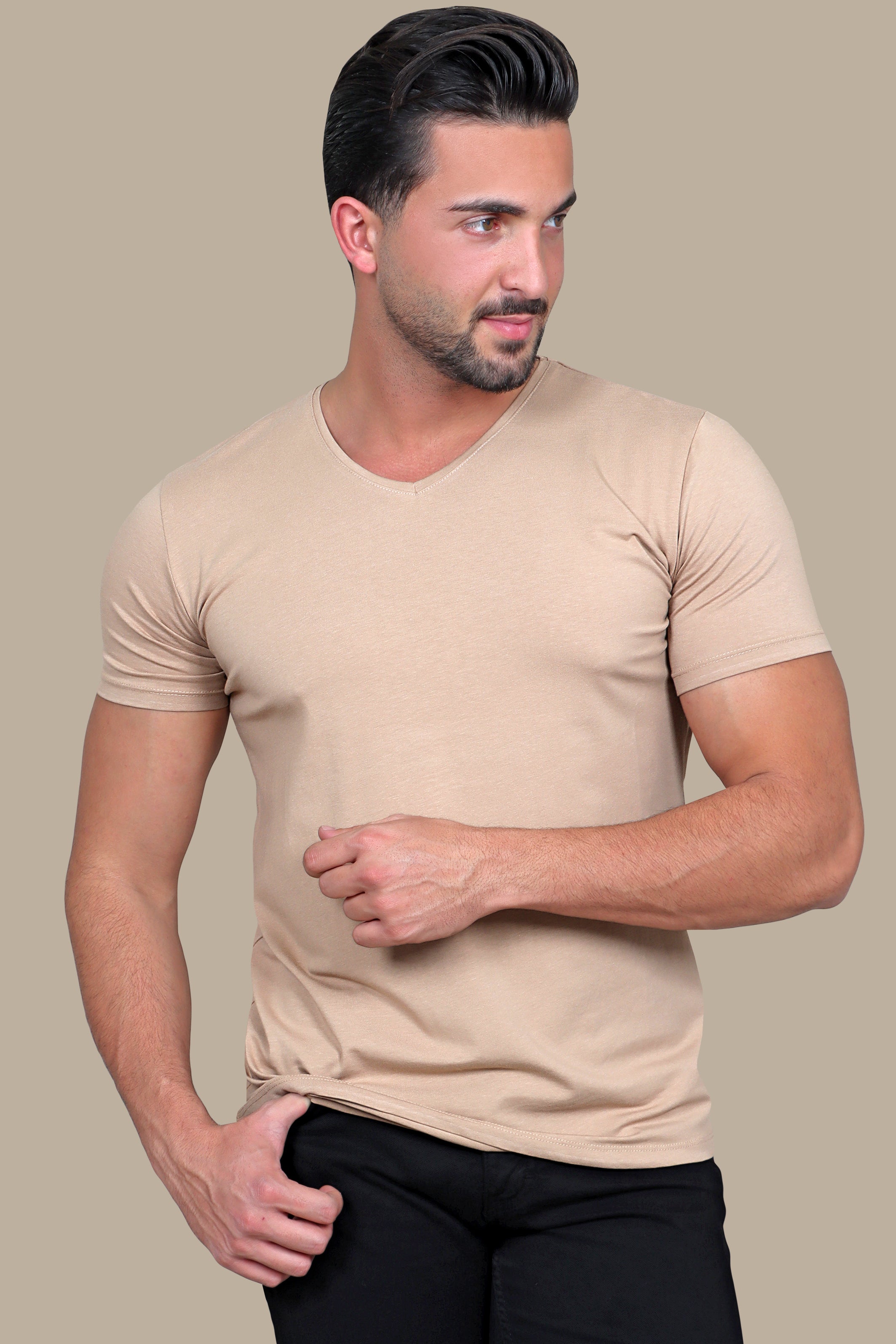 T-Shirt Basic V-Neck | Havan