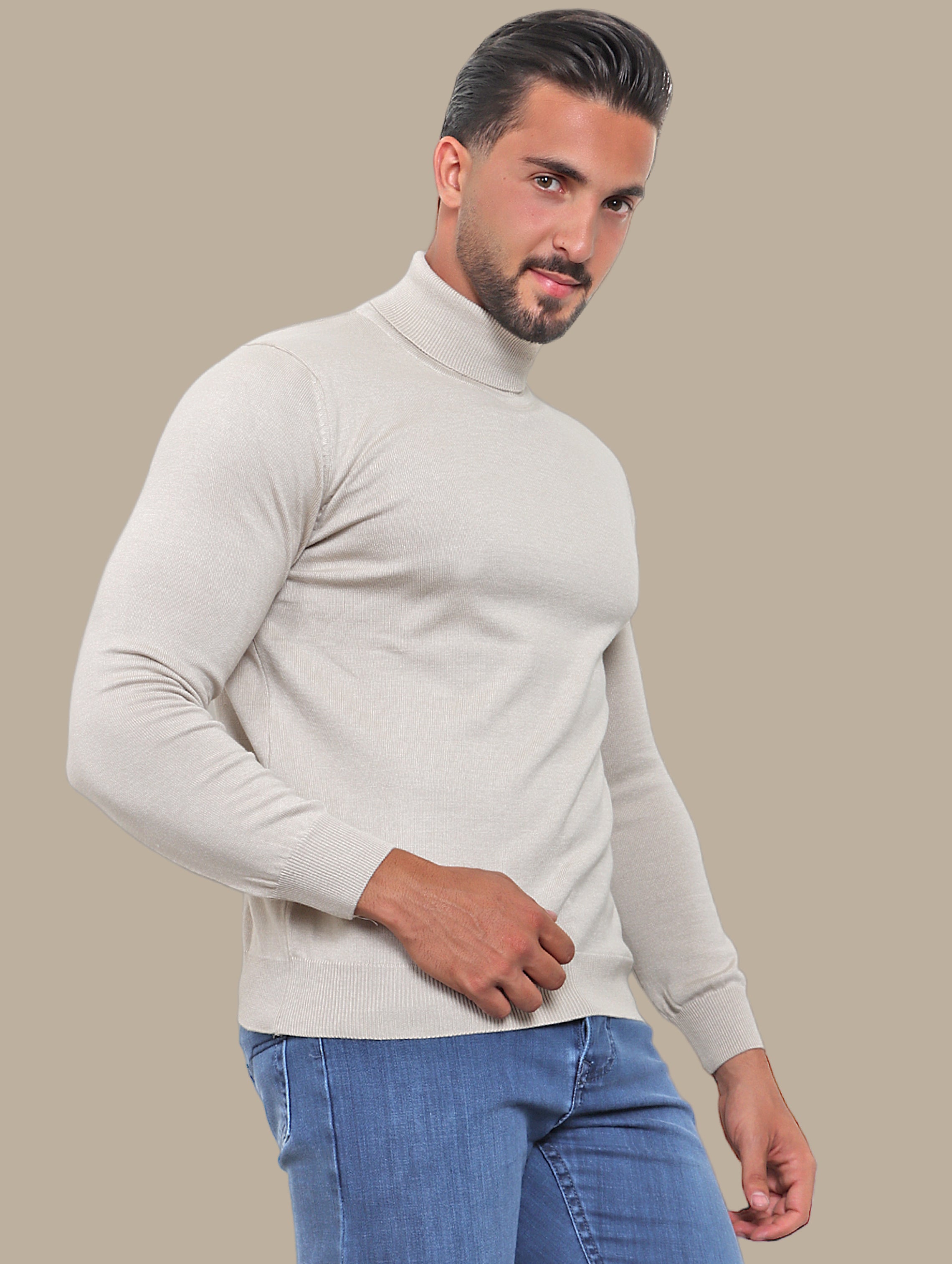 Beige Turtle Neck Basic Sweater