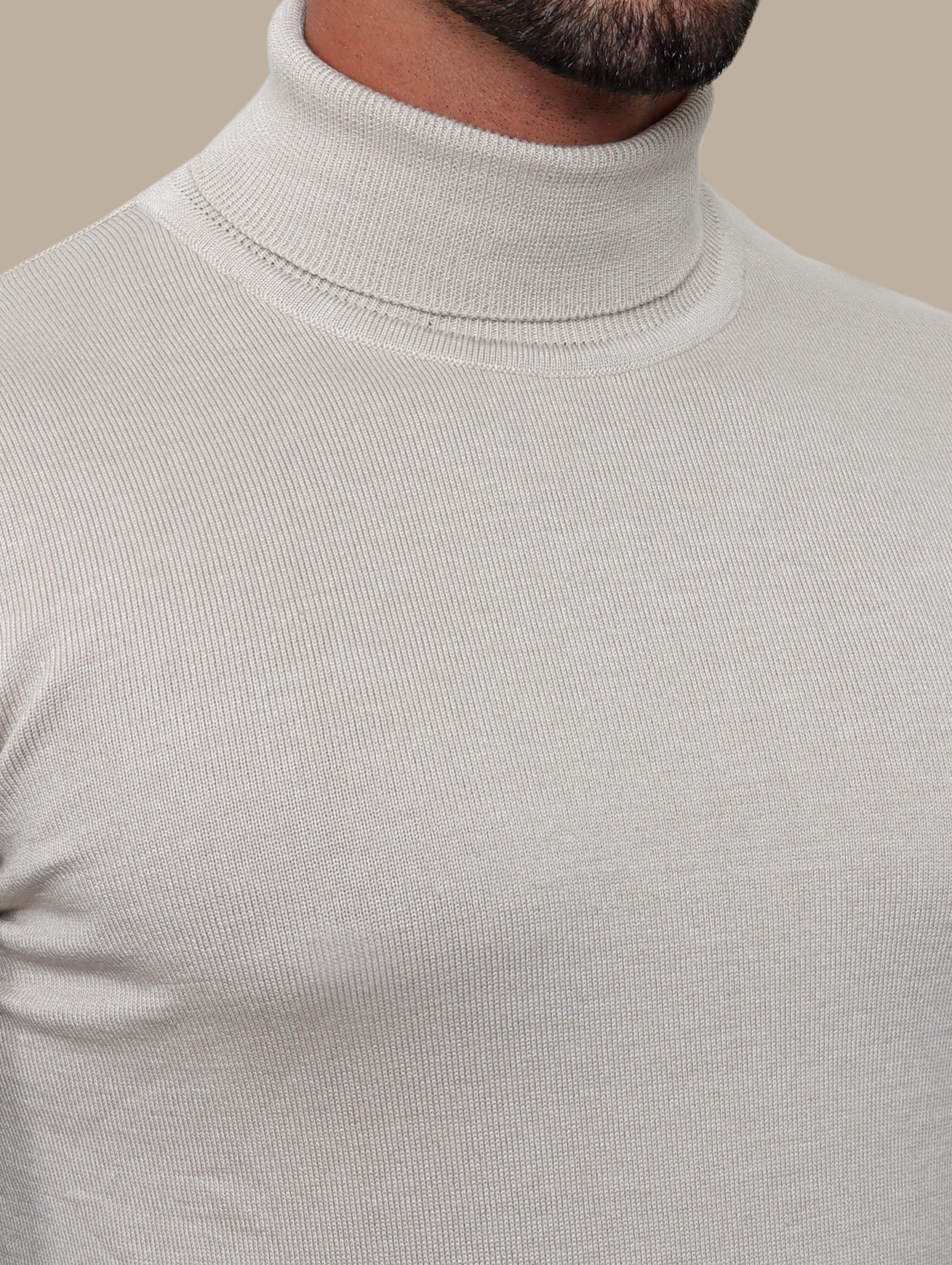 Beige Turtle Neck Basic Sweater