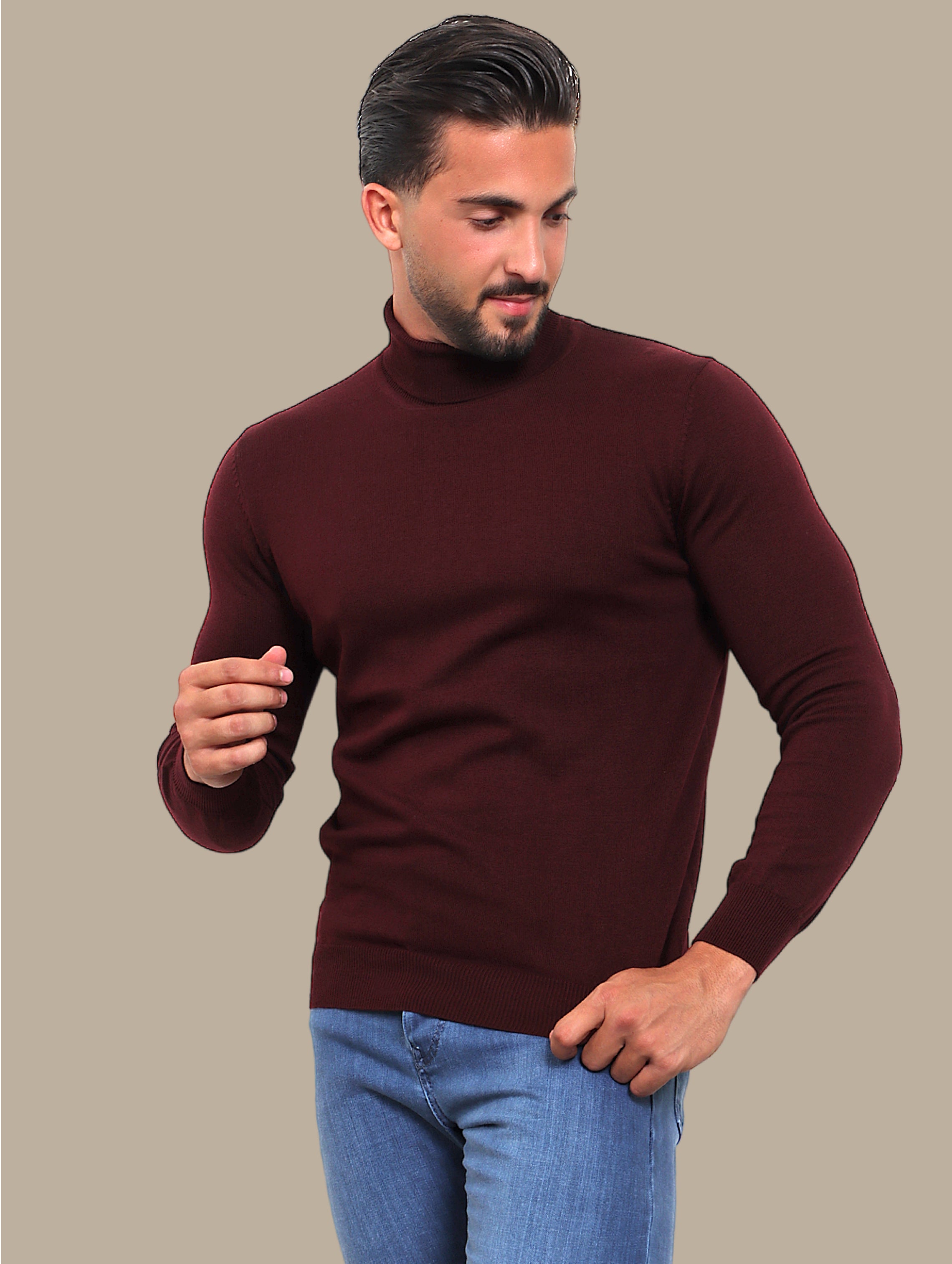 Burgundy Turtle Neck Basic Sweater