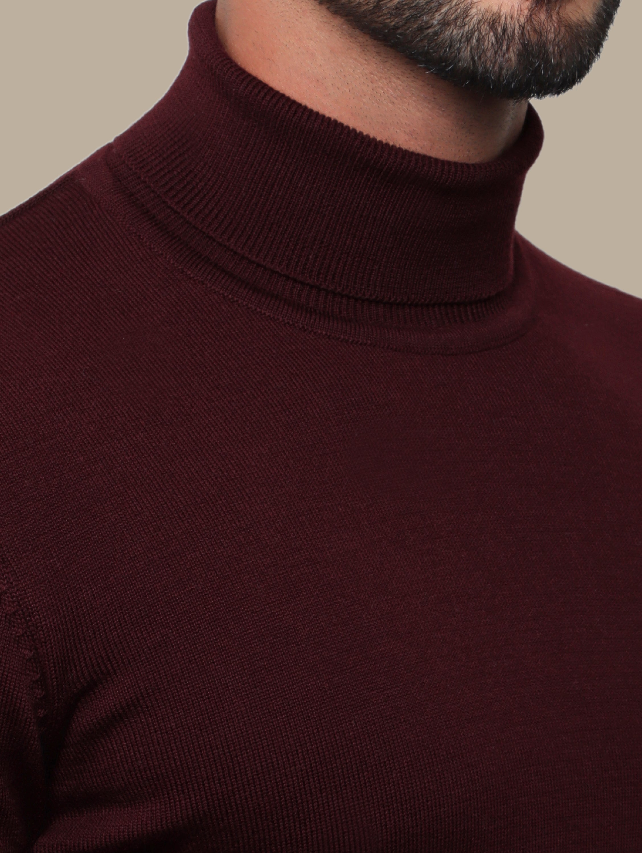 Burgundy Turtle Neck Basic Sweater