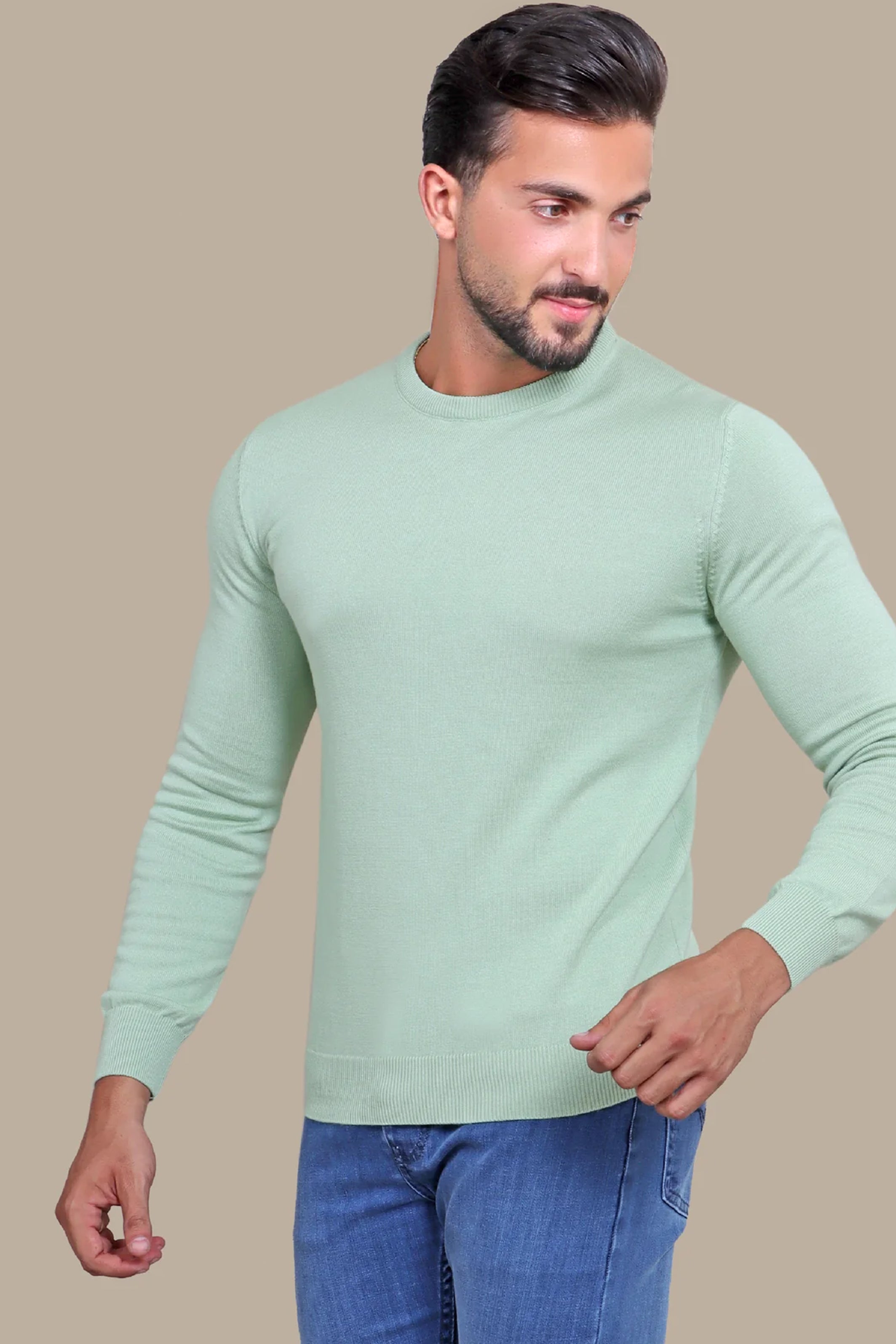 Sweater R-Neck Basic | Pistache