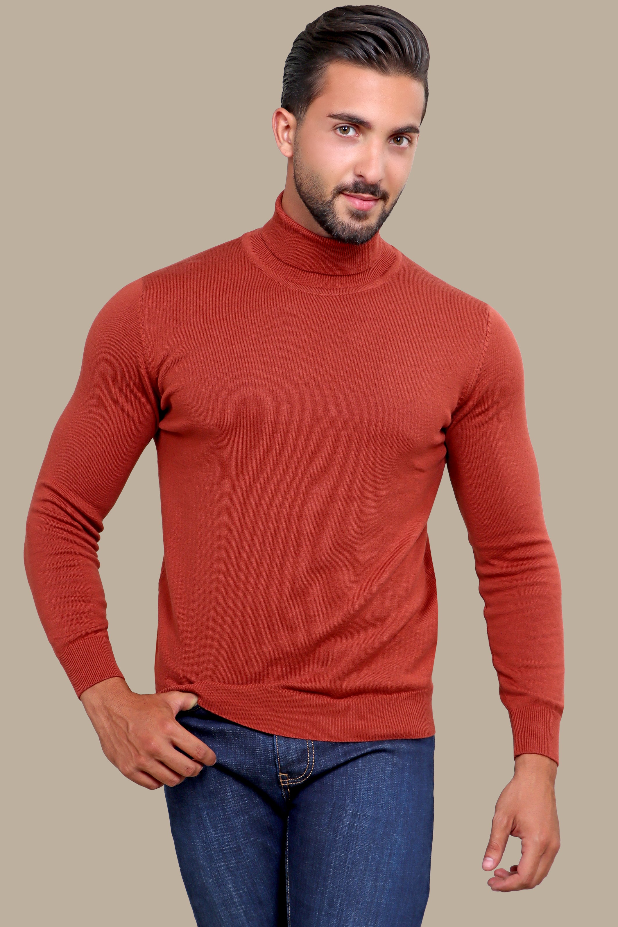 Brick Turtle Neck Basic Sweater