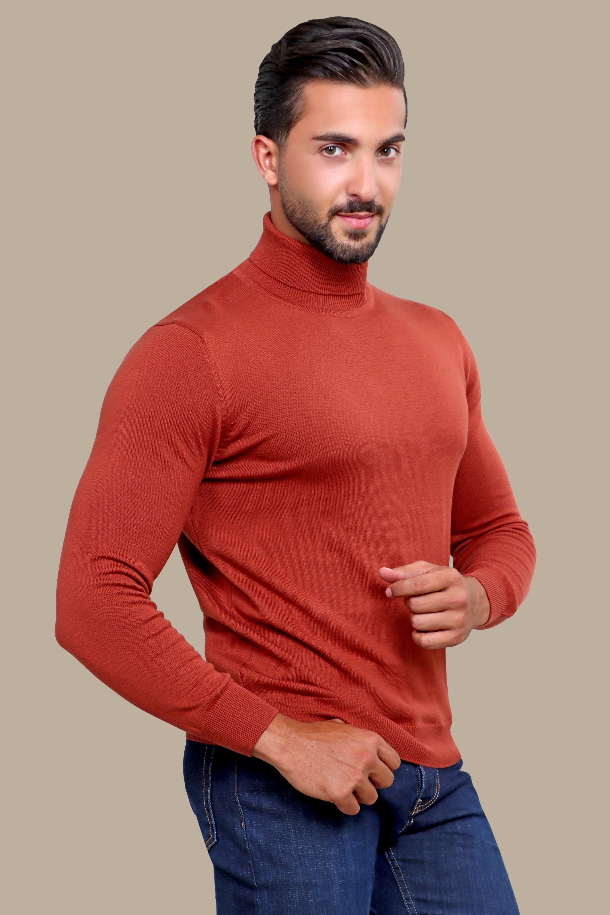 Brick Turtle Neck Basic Sweater