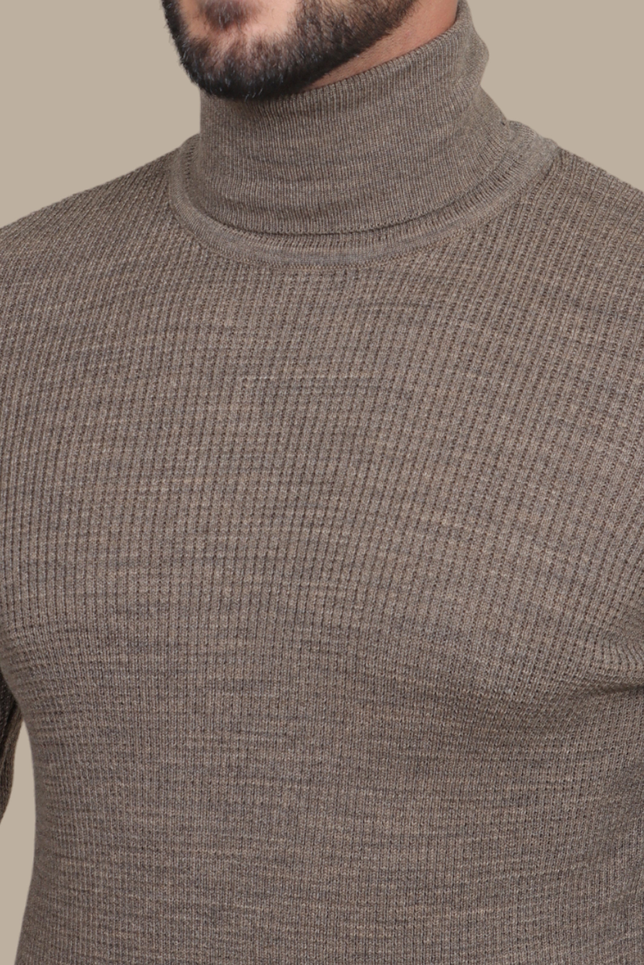 Structured Turtle Neck Sweater