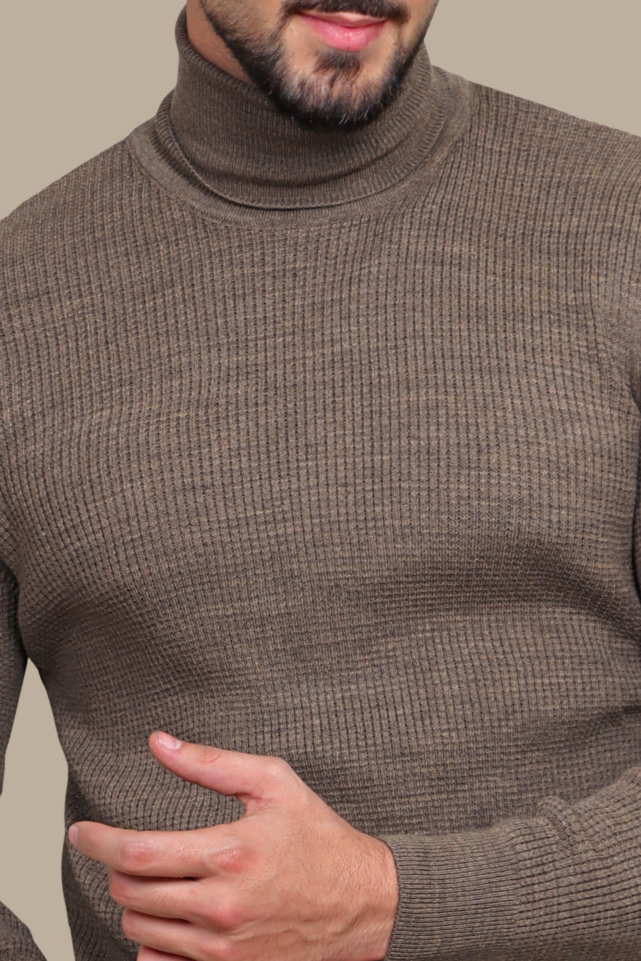 Structured Turtle Neck Sweater