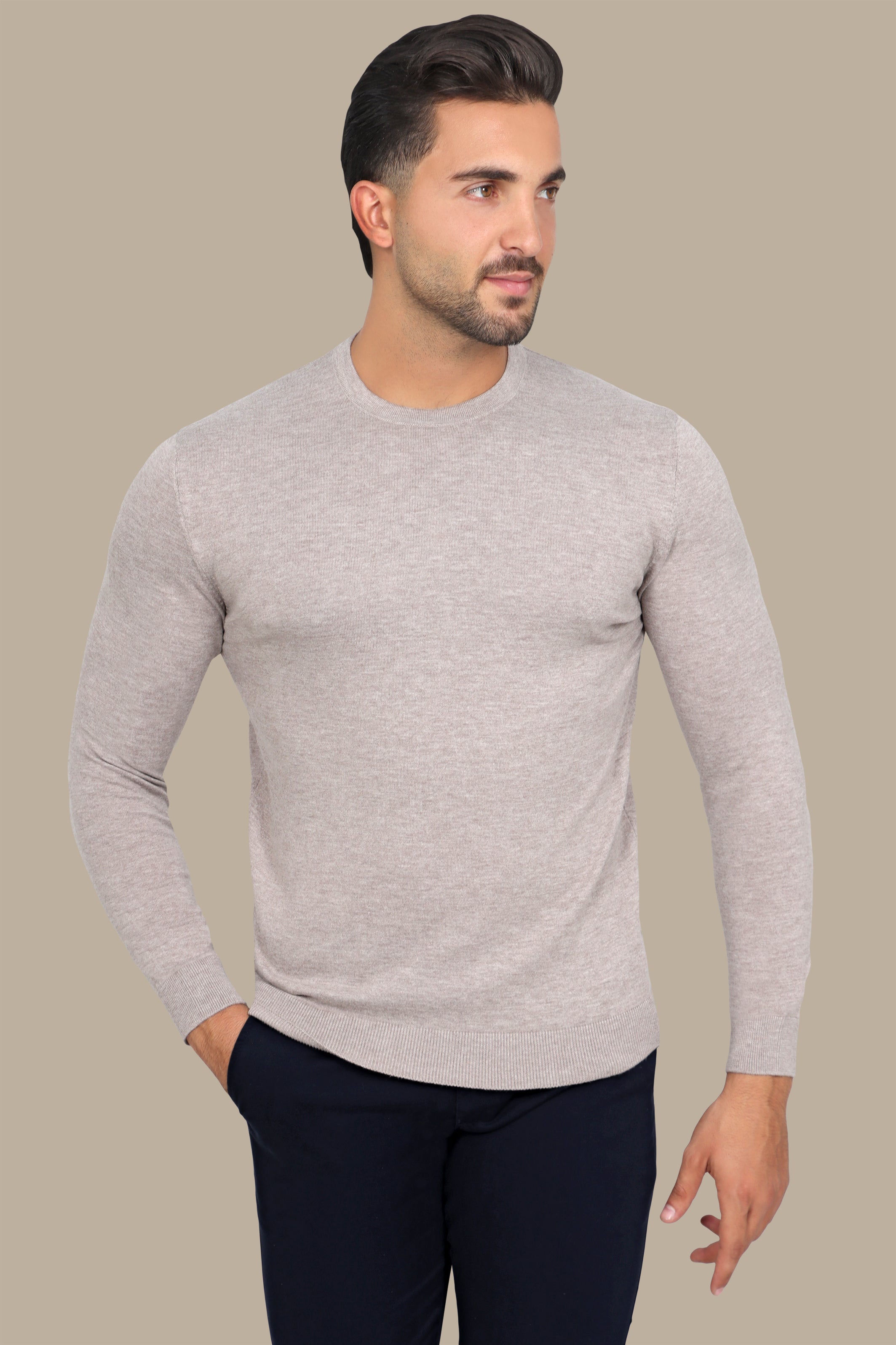 Beige Basic Round Neck Sweater