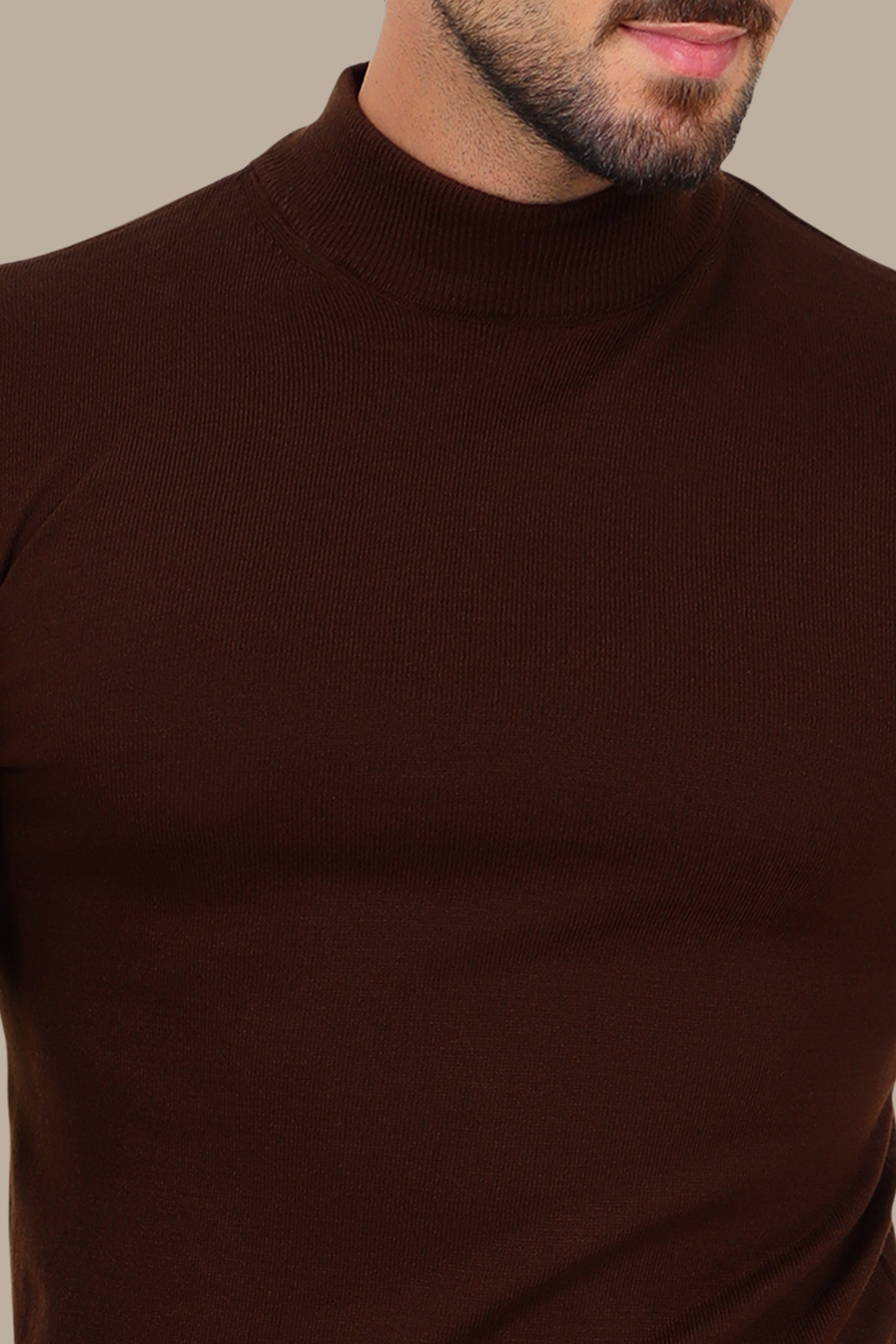 Brown High-Neck Basic Sweater