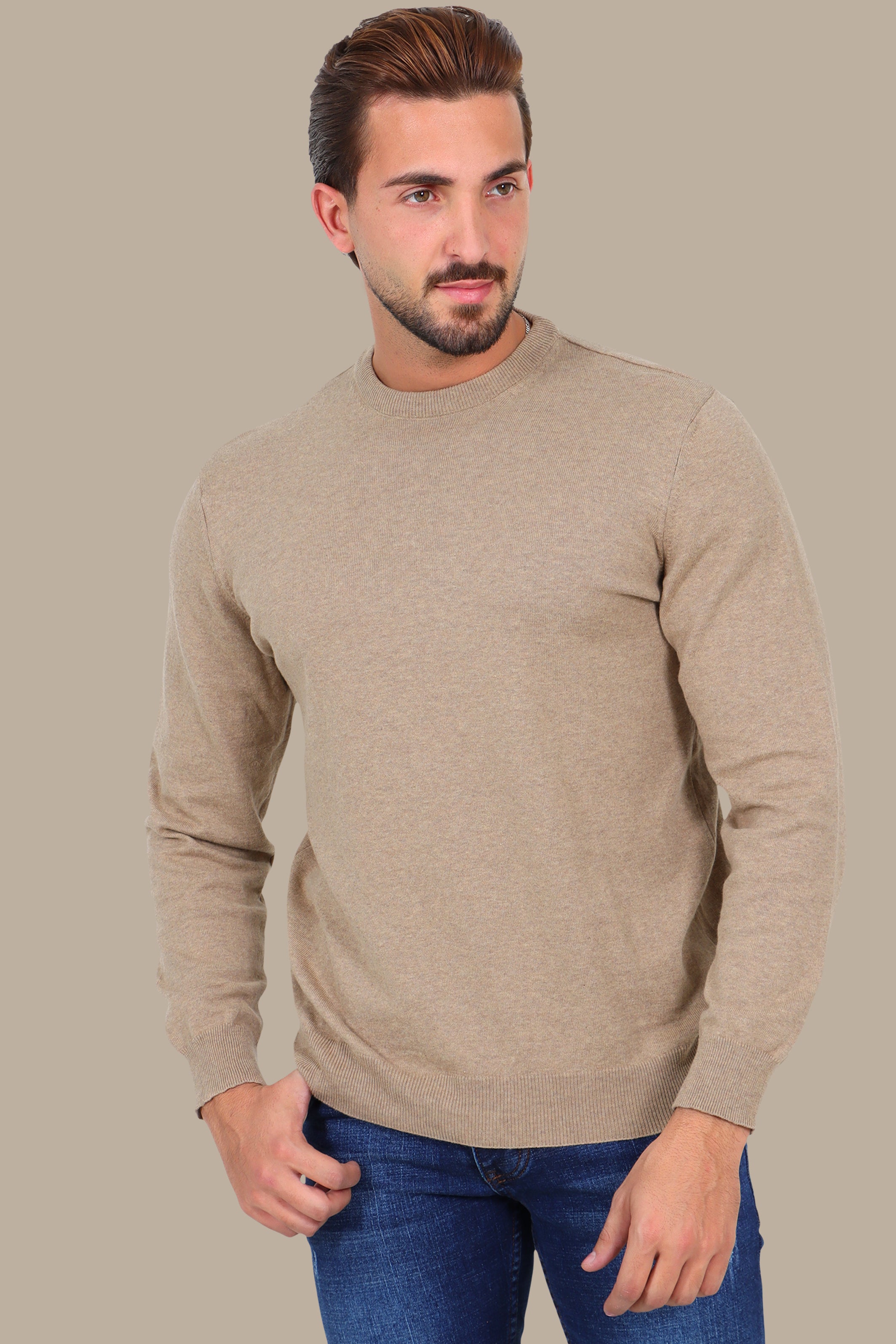 Beige Basic Round Neck Sweater
