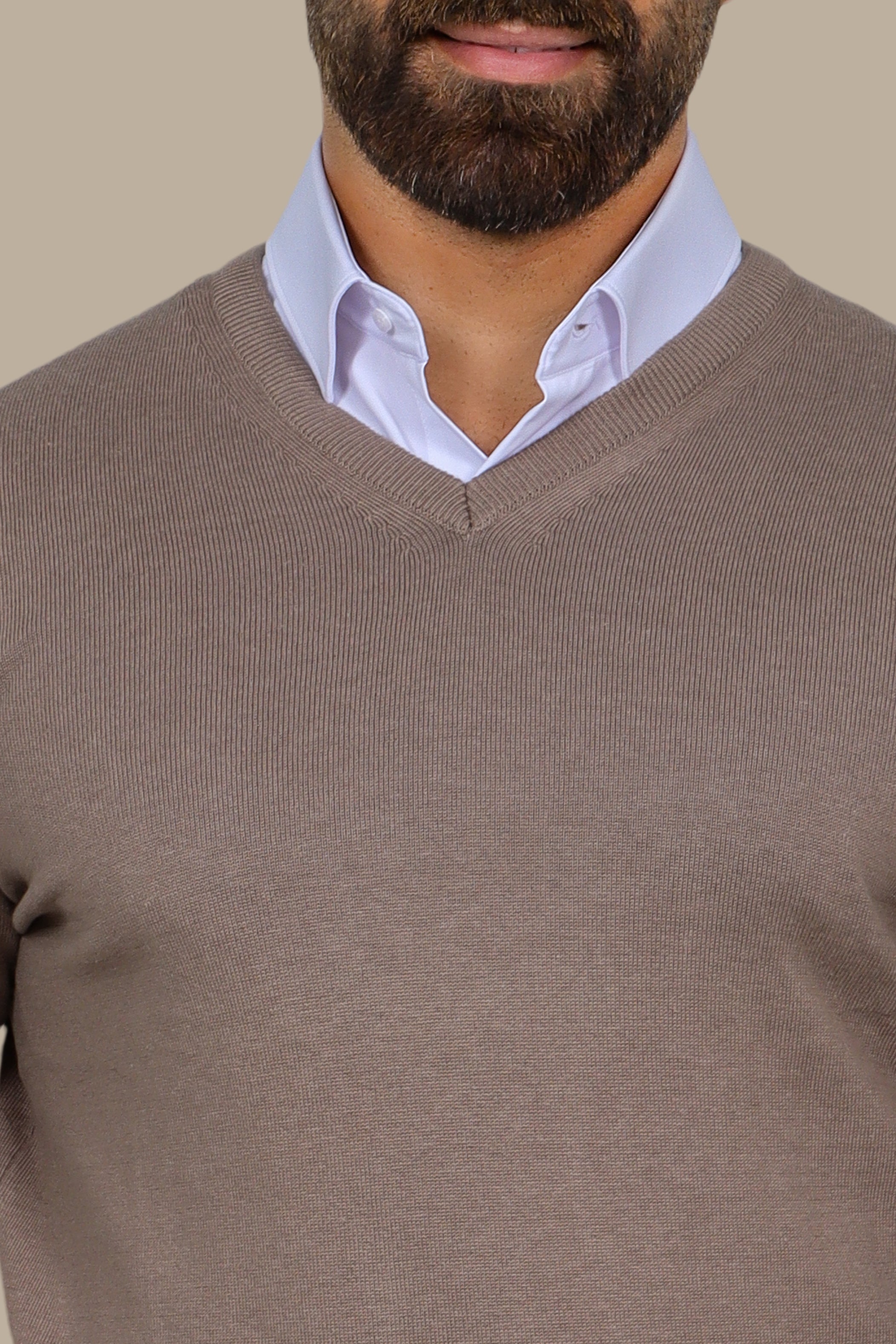 Camel V-Neck Basic Sweater