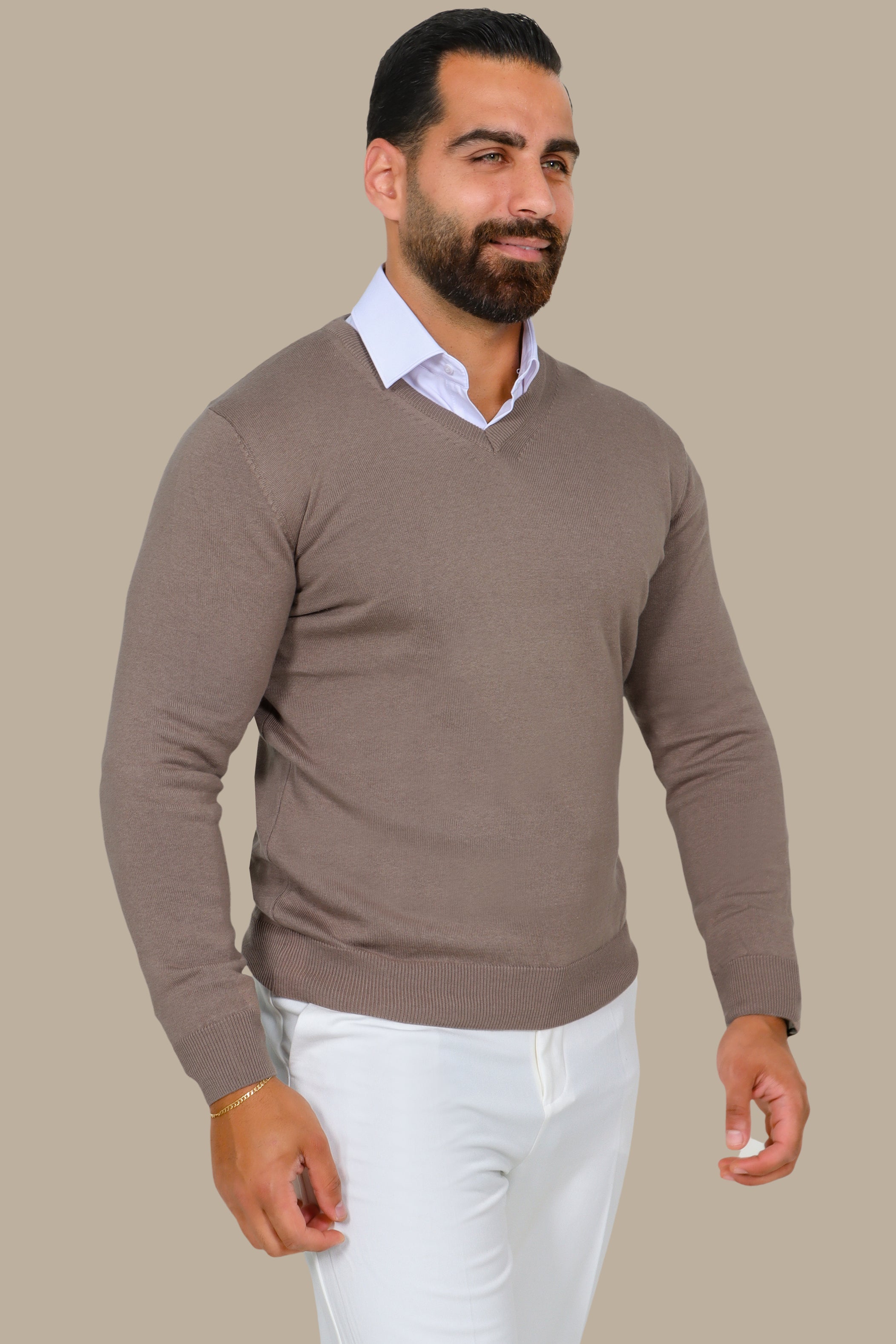 Camel V-Neck Basic Sweater