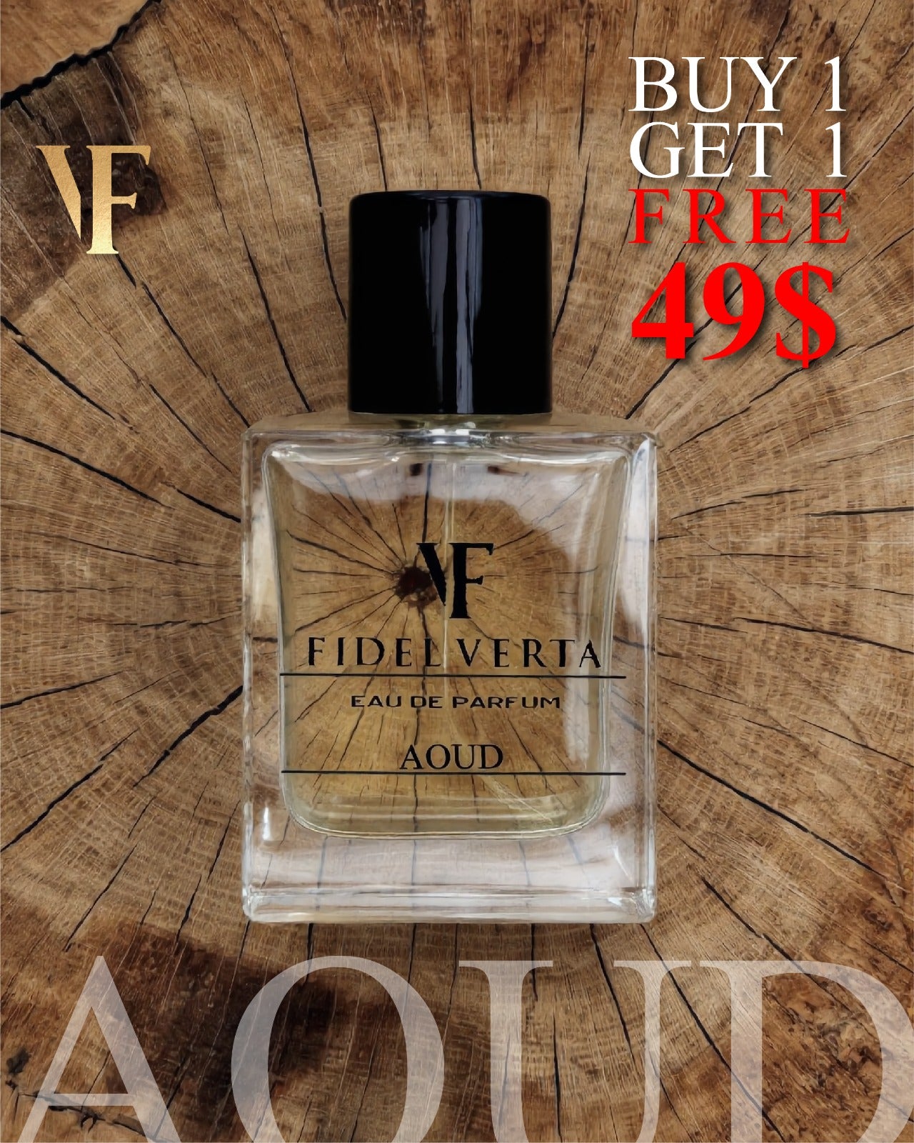 Velvet Aura: FV Aoud Elegance